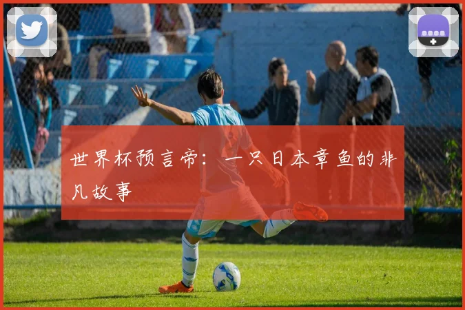 世界杯预言帝:一只日本章鱼的非凡故事
