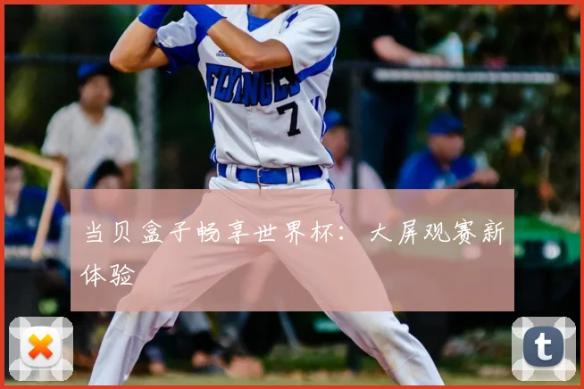 当贝盒子畅享世界杯：大屏观赛新体验