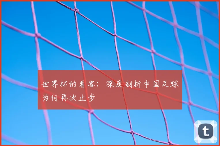 世界杯的看客:深度剖析中国足球为何再次止步