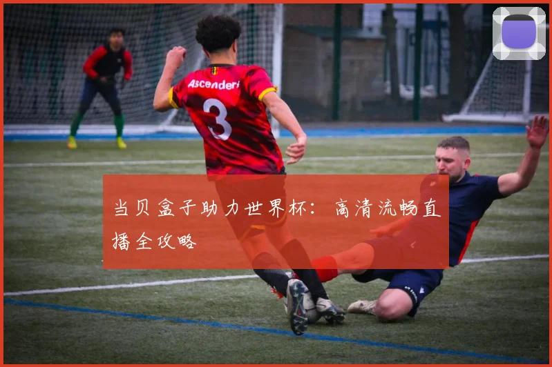 当贝盒子助力世界杯:高清流畅直播全攻略