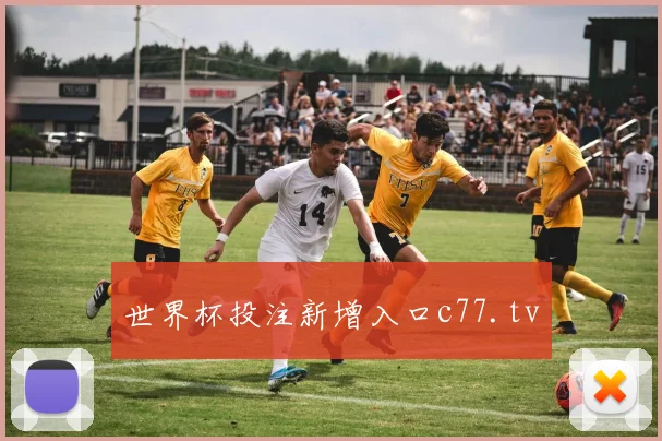 世界杯投注新增入口c77.tv