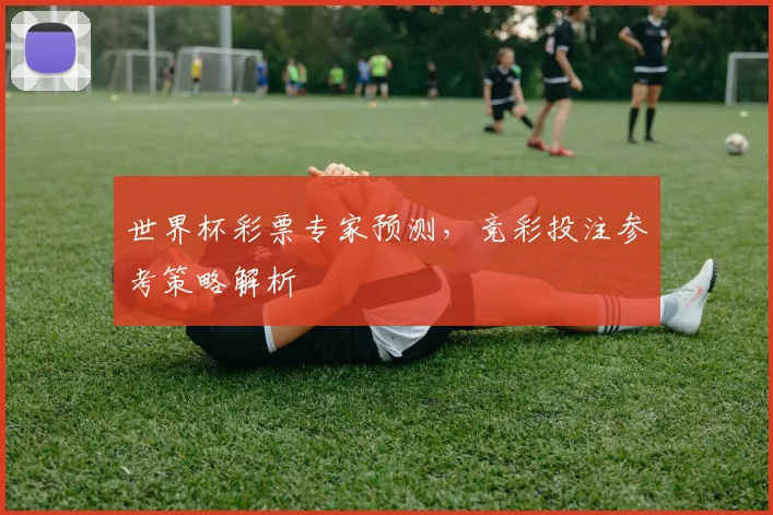 世界杯彩票专家预测,竞彩投注参考策略解析