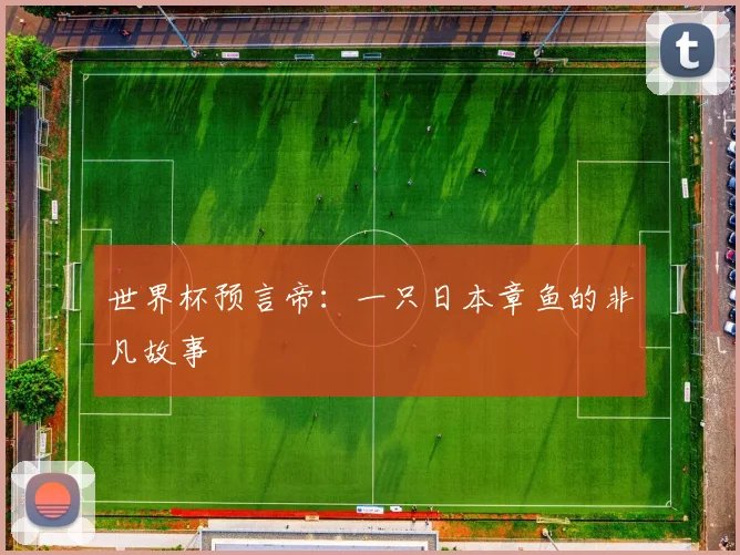世界杯预言帝：一只日本章鱼的非凡故事