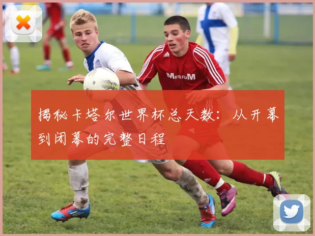 揭秘卡塔尔世界杯总天数:从开幕到闭幕的完整日程