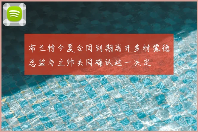布兰特今夏合同到期离开多特蒙德总监与主帅共同确认这一决定