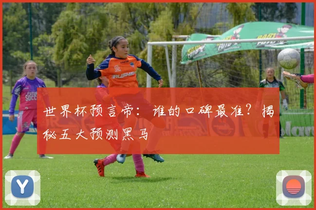 世界杯预言帝：谁的口碑最准？揭秘五大预测黑马